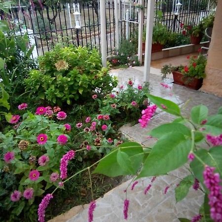 Villa Angela, Traditional Villa In The Village アギオス・イオアニス・ペリステリオン エクステリア 写真